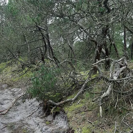 Vakantiehuis 4 Person In