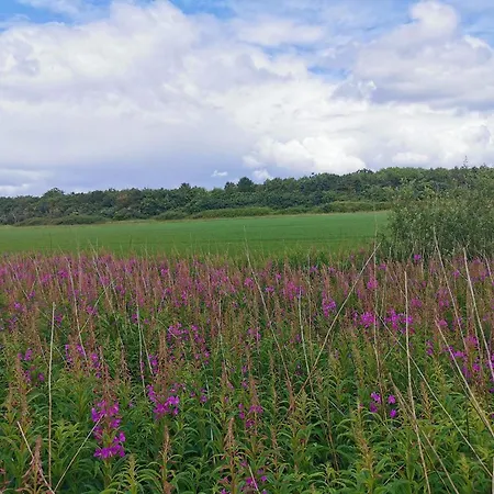 Vakantiehuis 4 Person In *